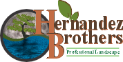 Hernandez Brothers